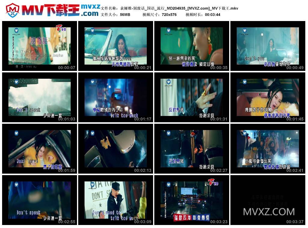 袁娅维-别废话_国语_流行_MD204935